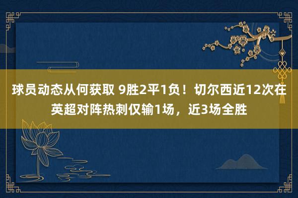 球员动态从何获取 9胜2平1负！切尔西近12次在英超对阵热刺仅输1场，近3场全胜