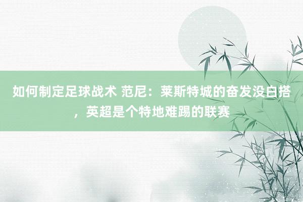 如何制定足球战术 范尼：莱斯特城的奋发没白搭，英超是个特地难踢的联赛