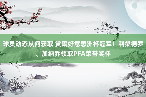 球员动态从何获取 赏赐好意思洲杯冠军！利桑德罗、加纳乔领取PFA荣誉奖杯