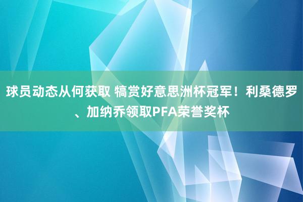 球员动态从何获取 犒赏好意思洲杯冠军！利桑德罗、加纳乔领取PFA荣誉奖杯