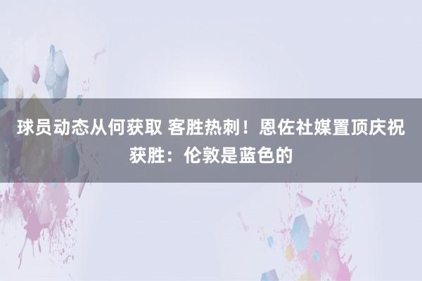 球员动态从何获取 客胜热刺！恩佐社媒置顶庆祝获胜：伦敦是蓝色的