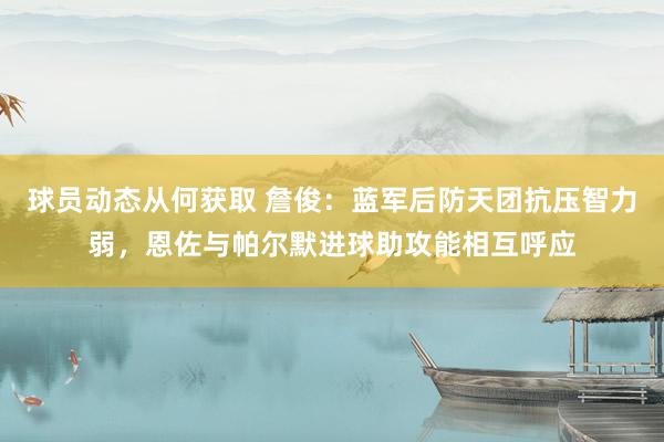 球员动态从何获取 詹俊：蓝军后防天团抗压智力弱，恩佐与帕尔默进球助攻能相互呼应