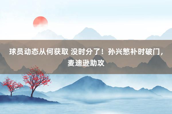 球员动态从何获取 没时分了！孙兴慜补时破门，麦迪逊助攻