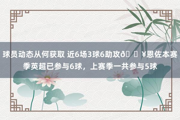 球员动态从何获取 近6场3球6助攻🔥恩佐本赛季英超已参与6球，上赛季一共参与5球