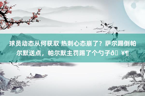 球员动态从何获取 热刺心态崩了？萨尔踢倒帕尔默送点，帕尔默主罚踢了个勺子🥶