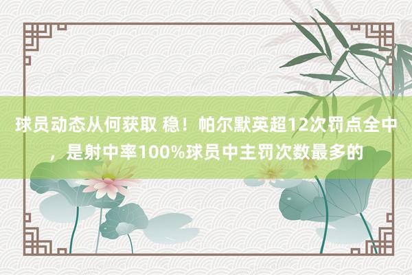 球员动态从何获取 稳！帕尔默英超12次罚点全中，是射中率100%球员中主罚次数最多的