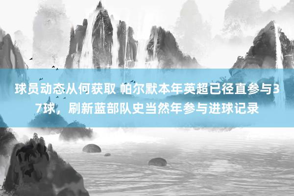 球员动态从何获取 帕尔默本年英超已径直参与37球，刷新蓝部队史当然年参与进球记录