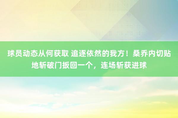 球员动态从何获取 追逐依然的我方！桑乔内切贴地斩破门扳回一个，连场斩获进球