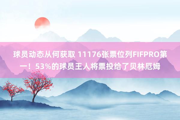 球员动态从何获取 11176张票位列FIFPRO第一！53%的球员王人将票投给了贝林厄姆