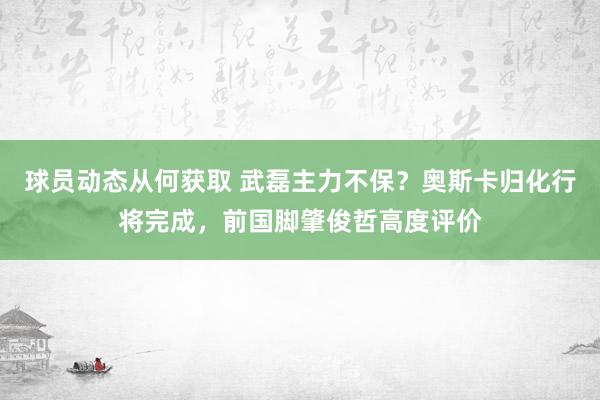 球员动态从何获取 武磊主力不保？奥斯卡归化行将完成，前国脚肇俊哲高度评价