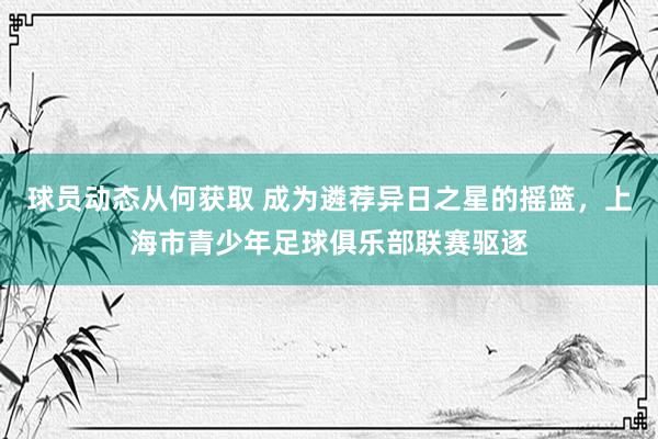 球员动态从何获取 成为遴荐异日之星的摇篮，上海市青少年足球俱乐部联赛驱逐