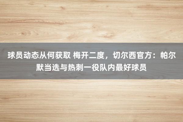 球员动态从何获取 梅开二度，切尔西官方：帕尔默当选与热刺一役队内最好球员