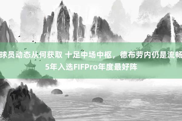 球员动态从何获取 十足中场中枢，德布劳内仍是流畅5年入选FIFPro年度最好阵